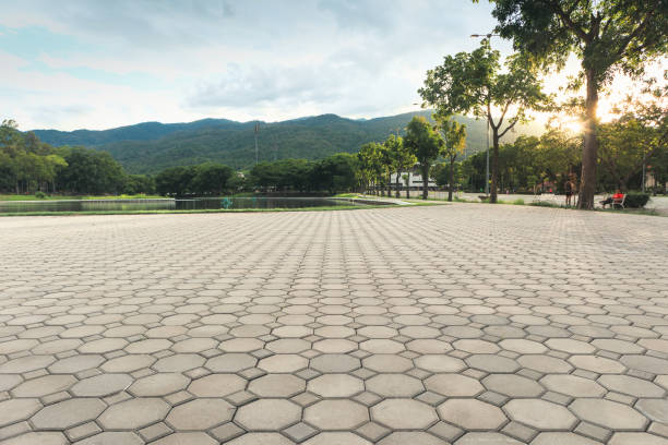 Best Local Driveway Pavers  in Green Hill, TN